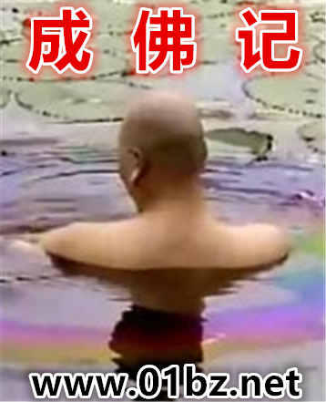 成佛记