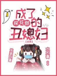 成了探花郎的丑媳妇【穿越】