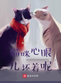 猫咪心眼儿坏着呢！