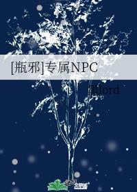 [瓶邪]专属NPC