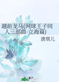 越前龙马(网球王子同人三部曲-立海篇)