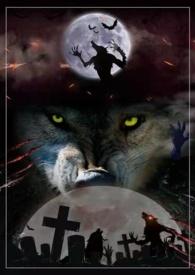 此岸风情（H，）