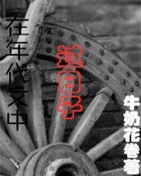 在年代文中过日子