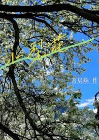 小梨花（校园h&amp;amp;nbsp;&amp;amp;nbsp;）